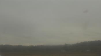 Weather camera view of City of Banks Public Library.