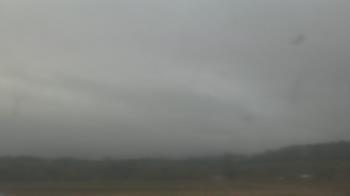 Weather camera view of City of Banks Public Library.