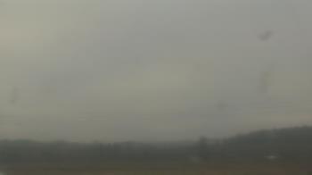 Weather camera view of City of Banks Public Library.