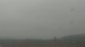 Weather camera view of City of Banks Public Library.