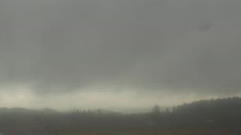 Weather camera view of City of Banks Public Library.