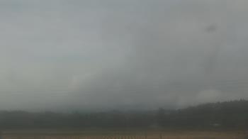 Weather camera view of City of Banks Public Library.