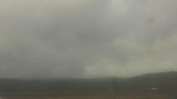 Weather camera view of City of Banks Public Library.