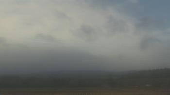 Weather camera view of City of Banks Public Library.