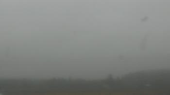 Weather camera view of City of Banks Public Library.