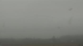 Weather camera view of City of Banks Public Library.