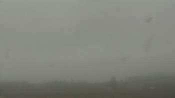 Weather camera view of City of Banks Public Library.