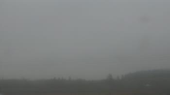 Weather camera view of City of Banks Public Library.