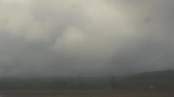 Weather camera view of City of Banks Public Library.