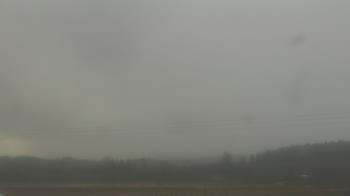 Weather camera view of City of Banks Public Library.