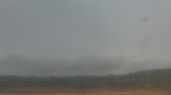 Weather camera view of City of Banks Public Library.