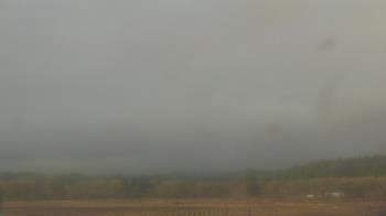 Weather camera view of City of Banks Public Library.