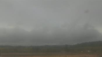 Weather camera view of City of Banks Public Library.