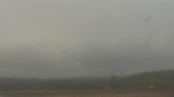 Weather camera view of City of Banks Public Library.