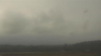 Weather camera view of City of Banks Public Library.