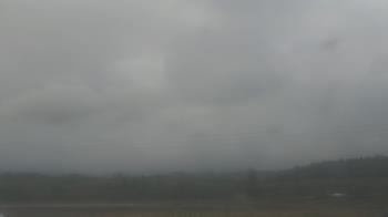 Weather camera view of City of Banks Public Library.