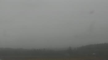 Weather camera view of City of Banks Public Library.