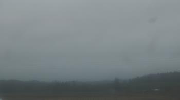 Weather camera view of City of Banks Public Library.