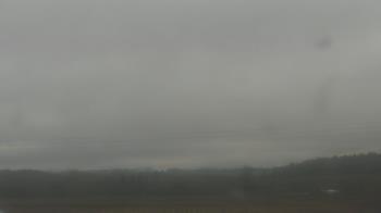 Weather camera view of City of Banks Public Library.