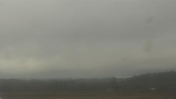 Weather camera view of City of Banks Public Library.