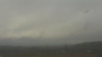 Weather camera view of City of Banks Public Library.