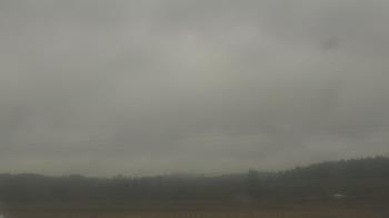 Weather camera view of City of Banks Public Library.