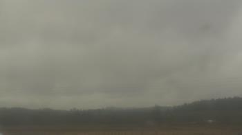 Weather camera view of City of Banks Public Library.