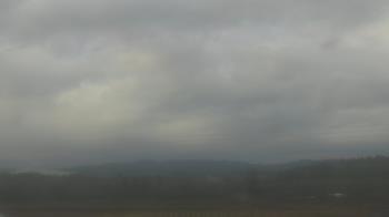 Weather camera view of City of Banks Public Library.