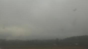 Weather camera view of City of Banks Public Library.