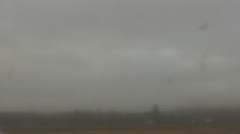 Weather camera view of City of Banks Public Library.