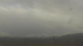 Weather camera view of City of Banks Public Library.