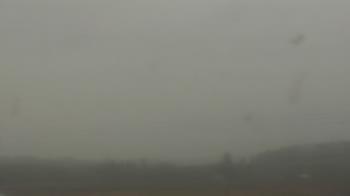 Weather camera view of City of Banks Public Library.