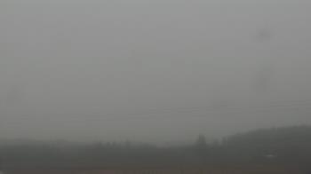 Weather camera view of City of Banks Public Library.