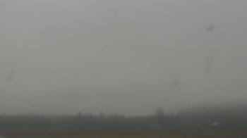 Weather camera view of City of Banks Public Library.