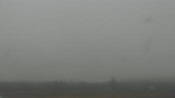 Weather camera view of City of Banks Public Library.