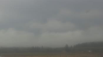 Weather camera view of City of Banks Public Library.