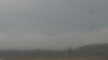 Weather camera view of City of Banks Public Library.