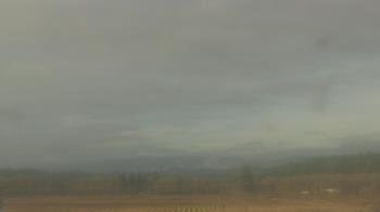 Weather camera view of City of Banks Public Library.