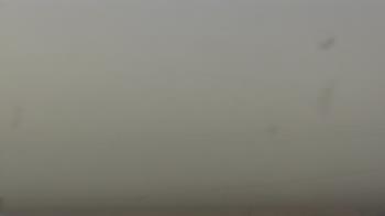 Weather camera view of City of Banks Public Library.