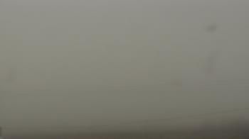 Weather camera view of City of Banks Public Library.