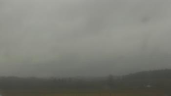 Weather camera view of City of Banks Public Library.