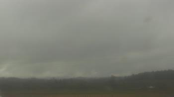 Weather camera view of City of Banks Public Library.