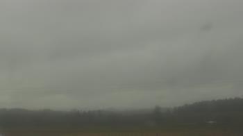 Weather camera view of City of Banks Public Library.