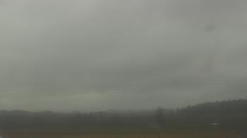 Weather camera view of City of Banks Public Library.