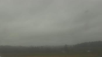 Weather camera view of City of Banks Public Library.