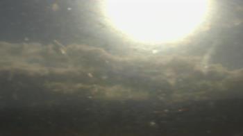 Weather camera view of City of Banks Public Library.