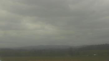 Weather camera view of City of Banks Public Library.