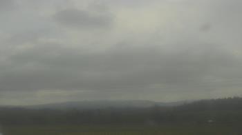 Weather camera view of City of Banks Public Library.