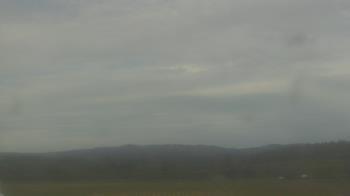 Weather camera view of City of Banks Public Library.