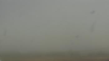 Weather camera view of City of Banks Public Library.